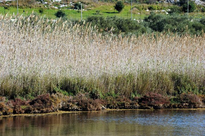 2Saline di Augusta 16.1.2011 (103).jpg